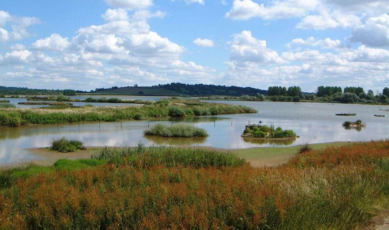 Rutland Water Nature Reserve. Photo: LRWT