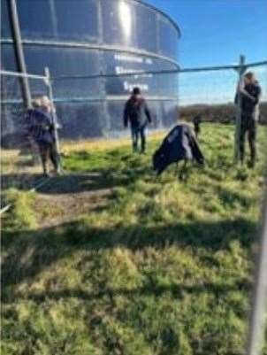 Wiggles the Emu has been captured PHOTO: National Exotics Animal Rescue Service