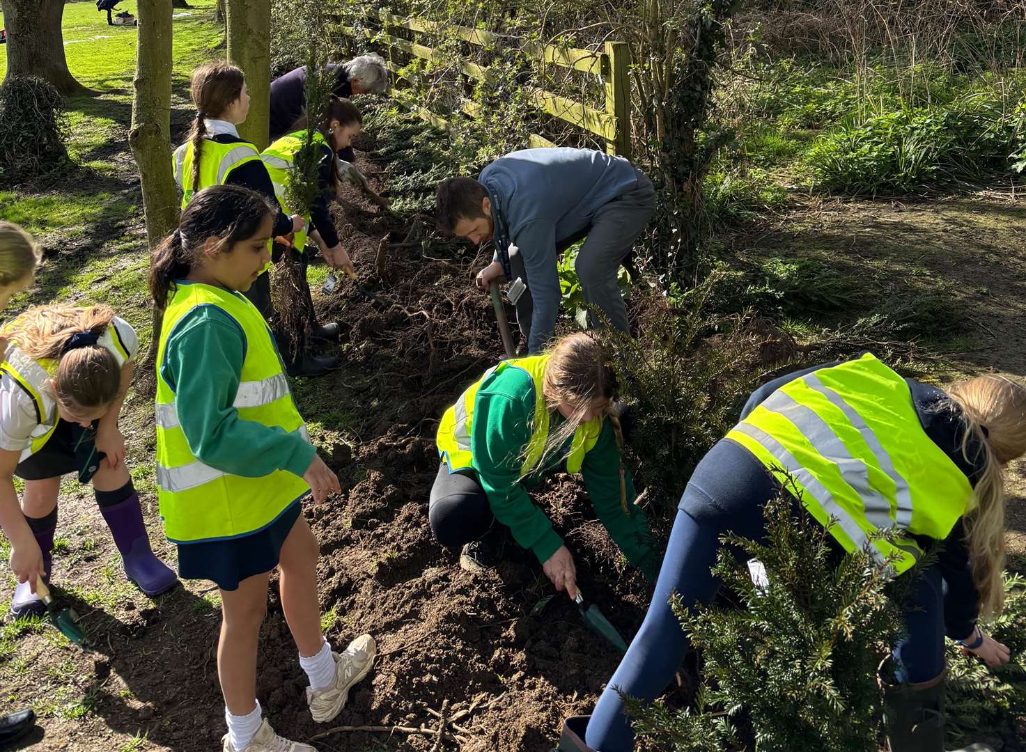 Ivy and other members of Stamford Youth Council planting trees on Stamford Meadows