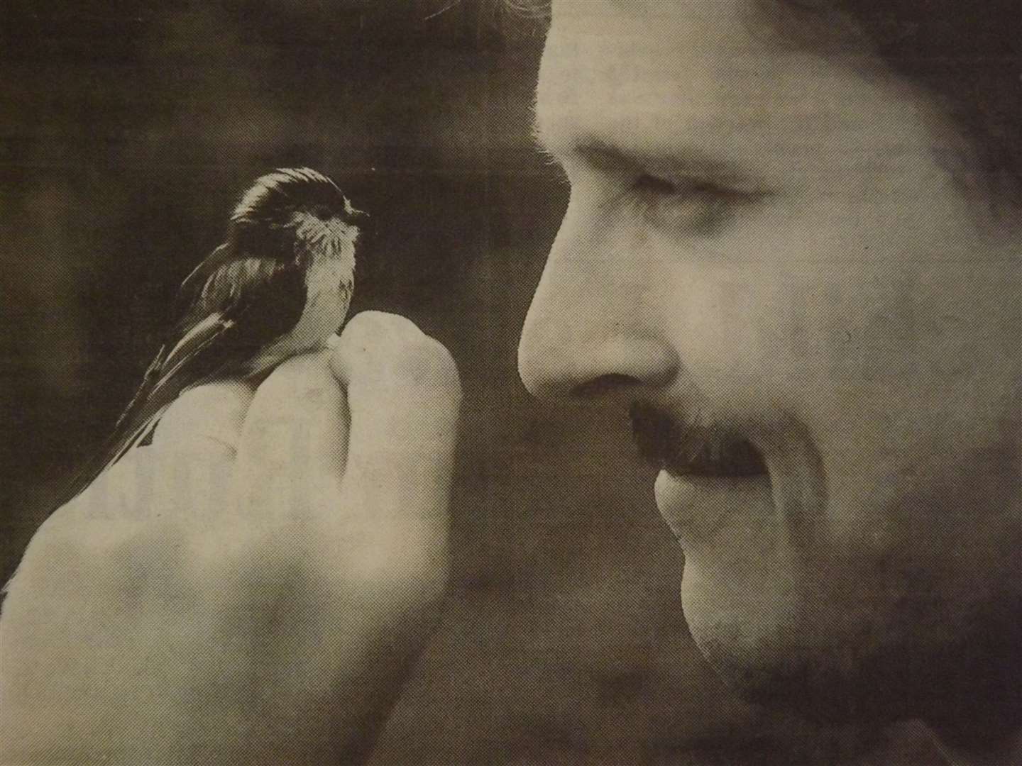 25 years ago: August 28, 1998 – Dean Roizer, of the the Rutland Water Ringing Group, with a long-tailed tit at the Birdfair held at Egleton.