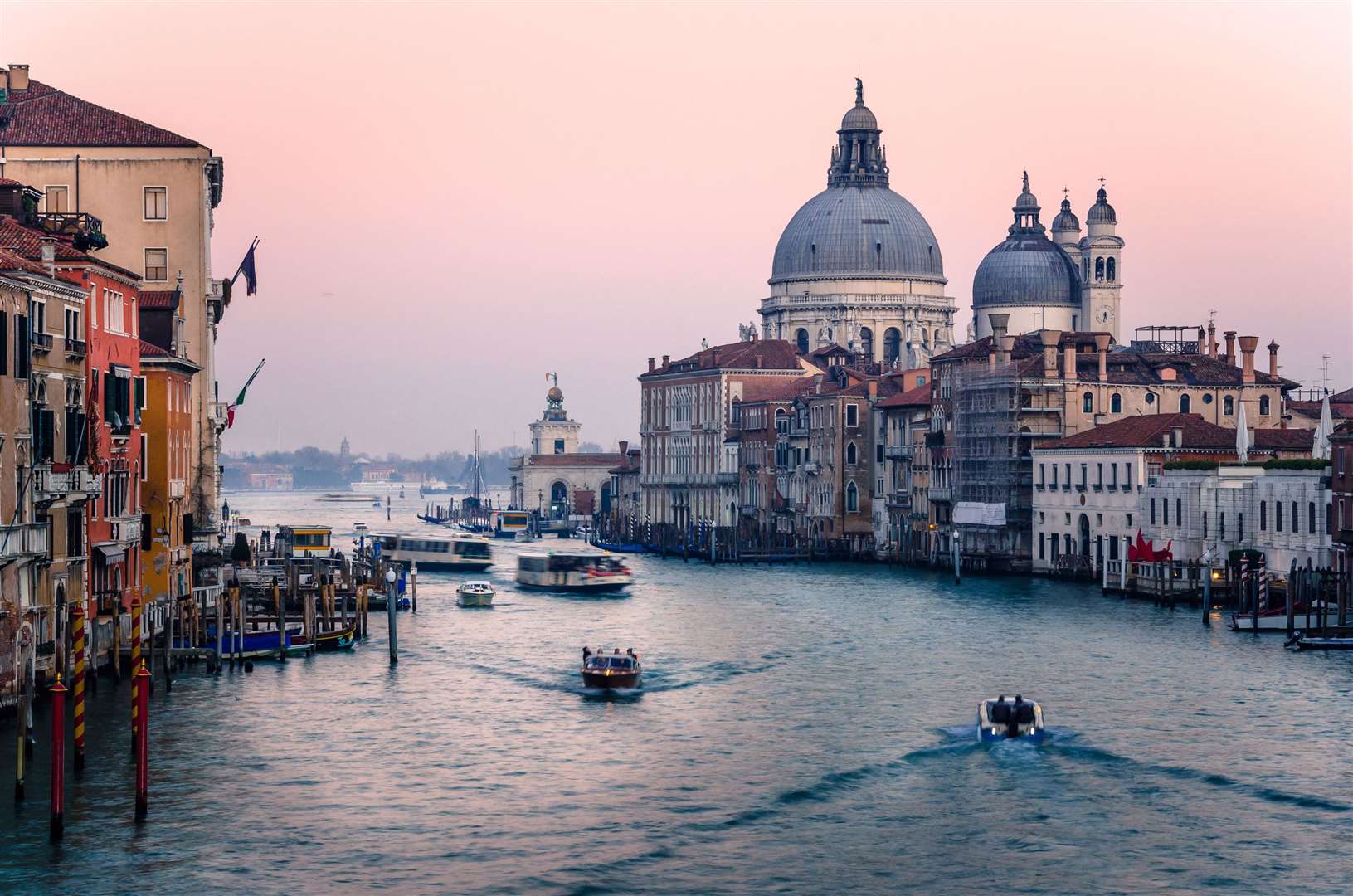 Visitors to Venice must not feed the pigeons. Image: iStock.