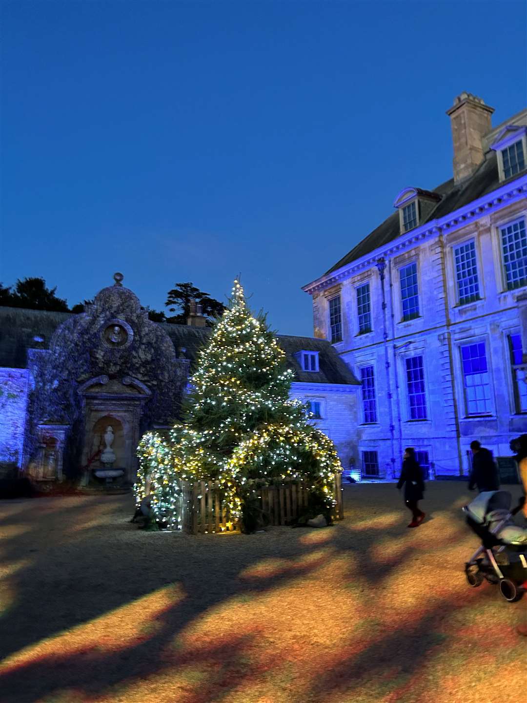 A tree look remarkable on entry but rather small when leaving