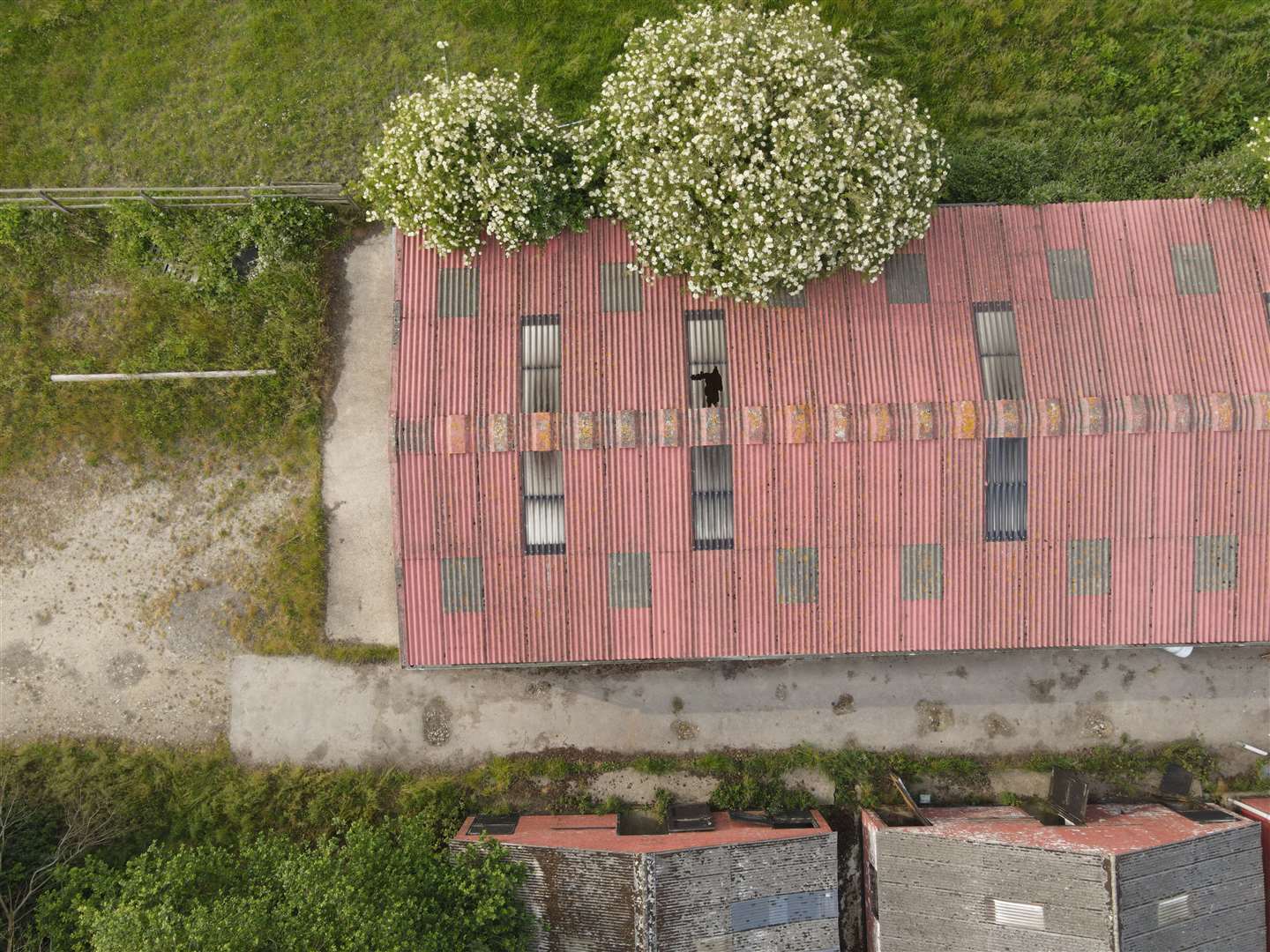 The derelict buildings in Bourne (36388649)