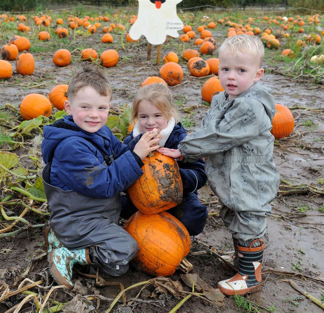 Rory, 5, Orla, 4, and Roan 2