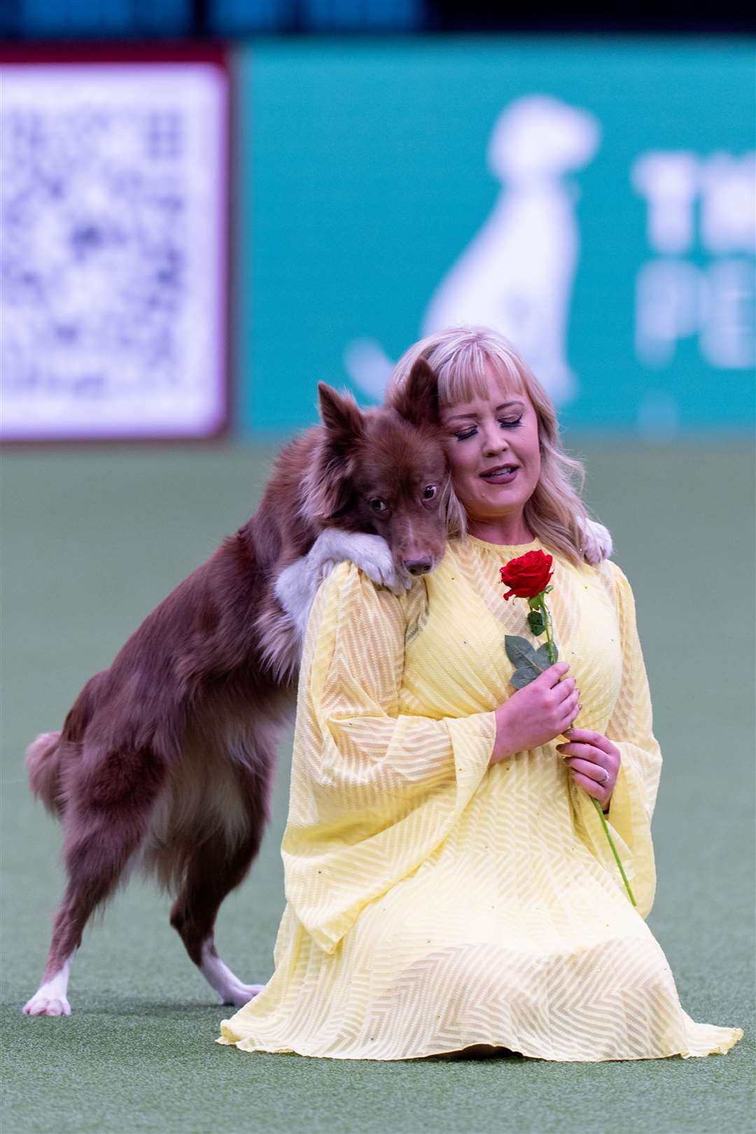 Grantham dog trainer Lucy Heath shined at Crufts with multiple victories. Photo: BeatMedia/The Royal Kennel Club