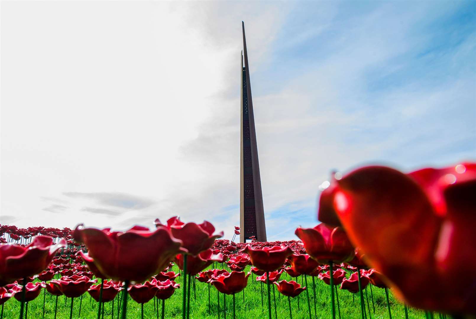 The International Bomber Command Centre (IBCC) Lancaster Poppy Display - Victory in Europe - at 80. Picture: Chris Vaughan Photography