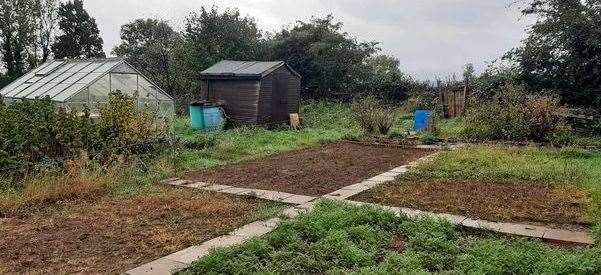 Tanya's allotment.