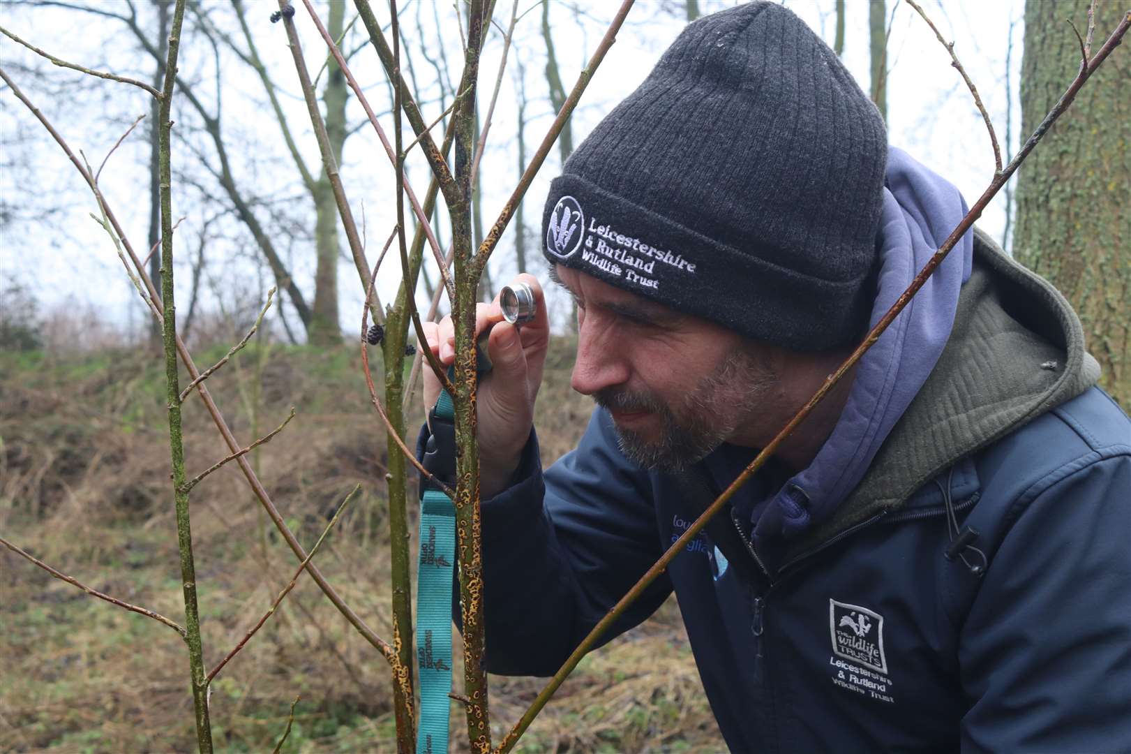 Tim Sexton, senior species and recording officer, examining the rare fungus