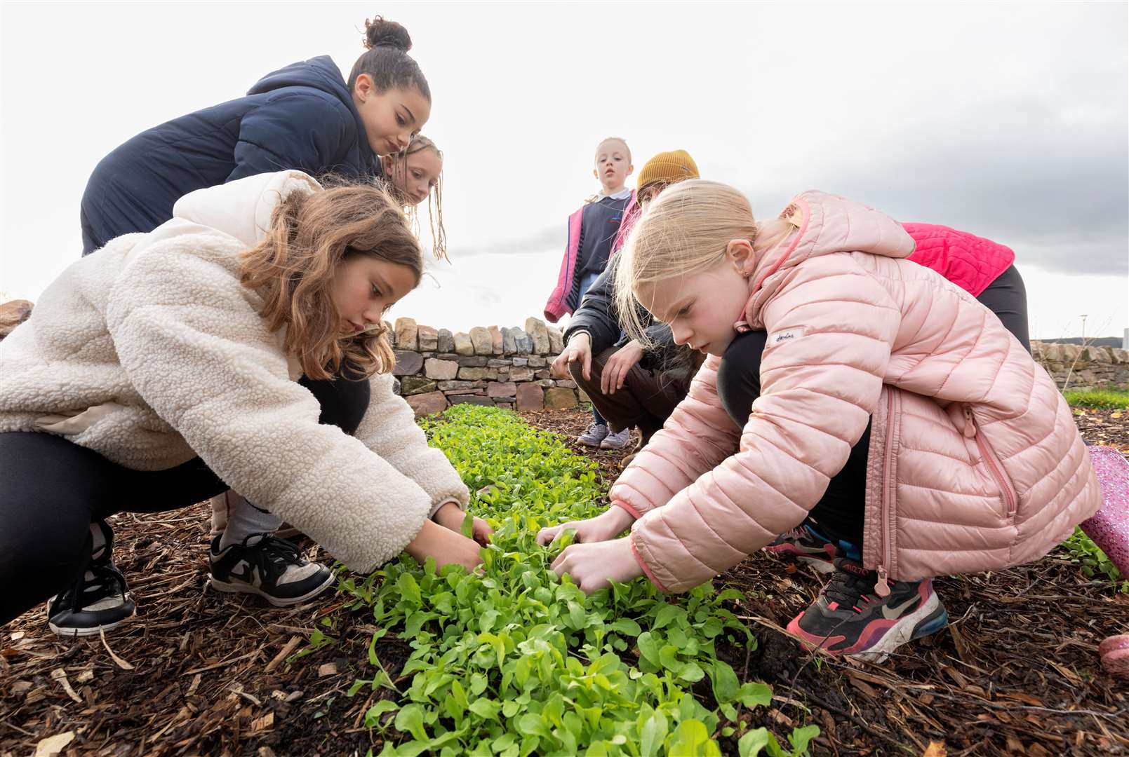 Children could be enjoying outdoor activities at another site PHOTO: STOCK (Go Flourish)