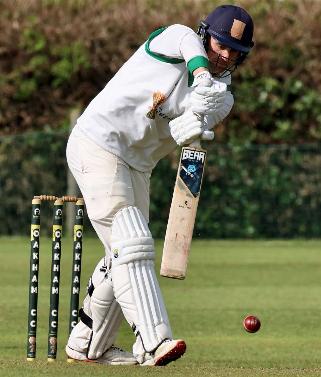 Rob Taylor. Photo: Rob O’Brien