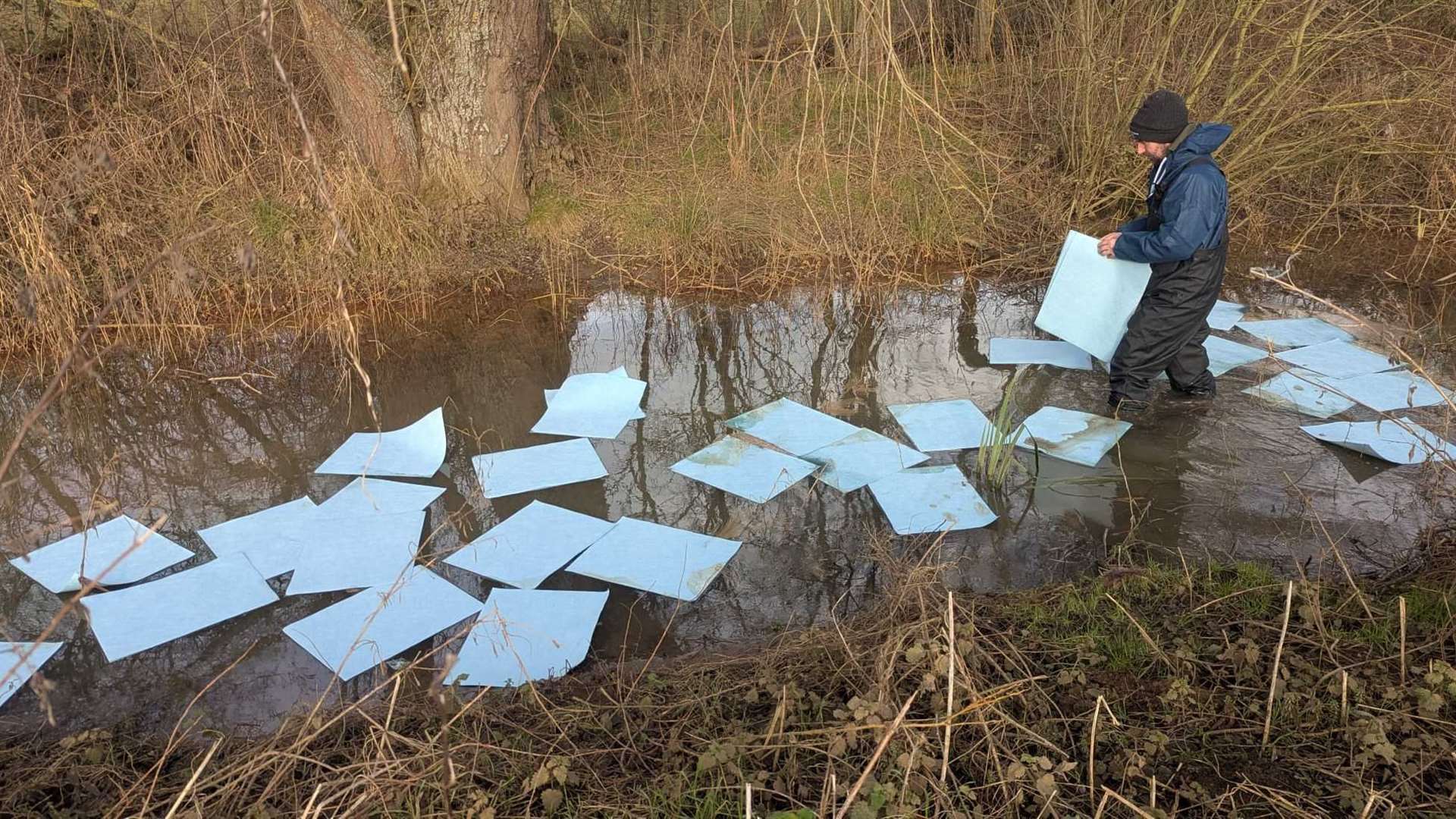 Oil absorbing pads were used to soak up the spill