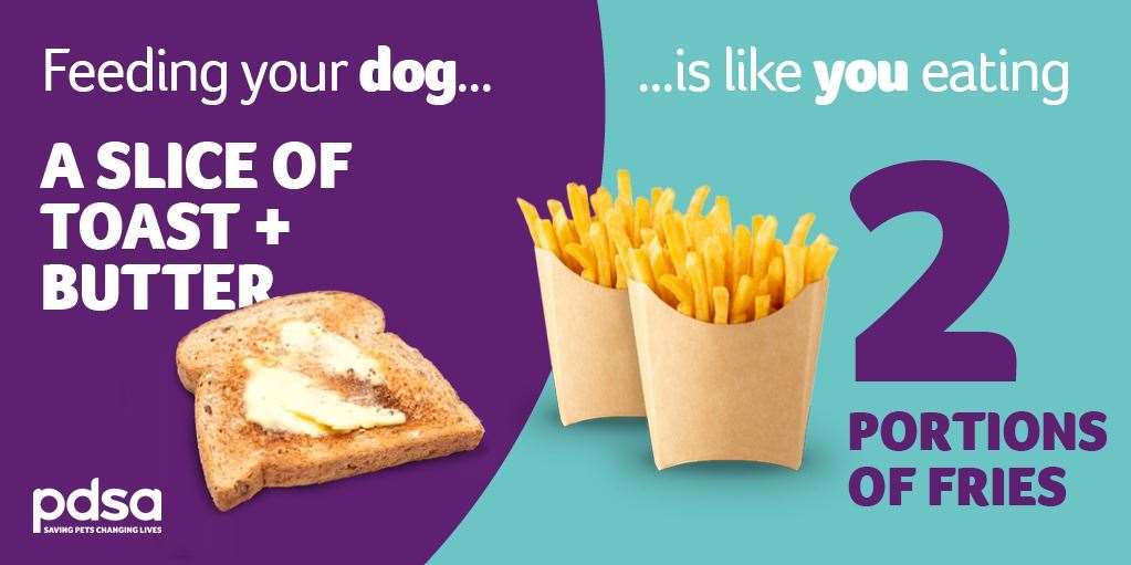 Owners are being asked to think carefully about the types of food and the amount animals are being fed