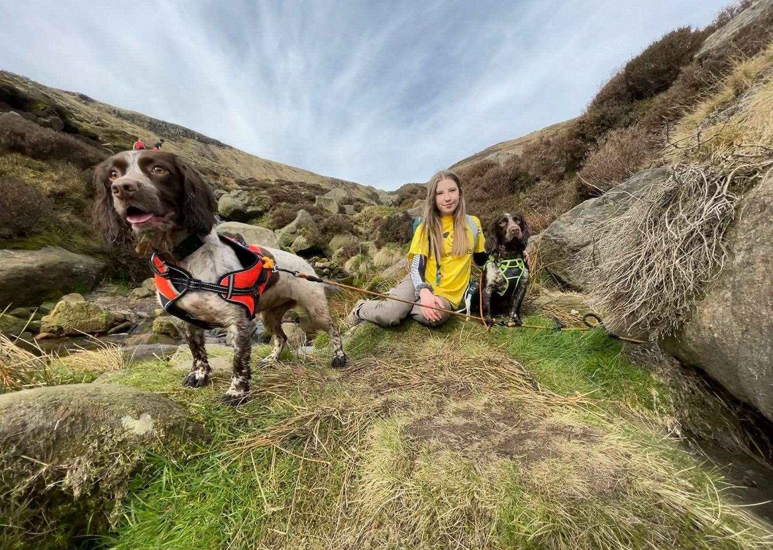 Leah with Harley and Ralph. (47131051)