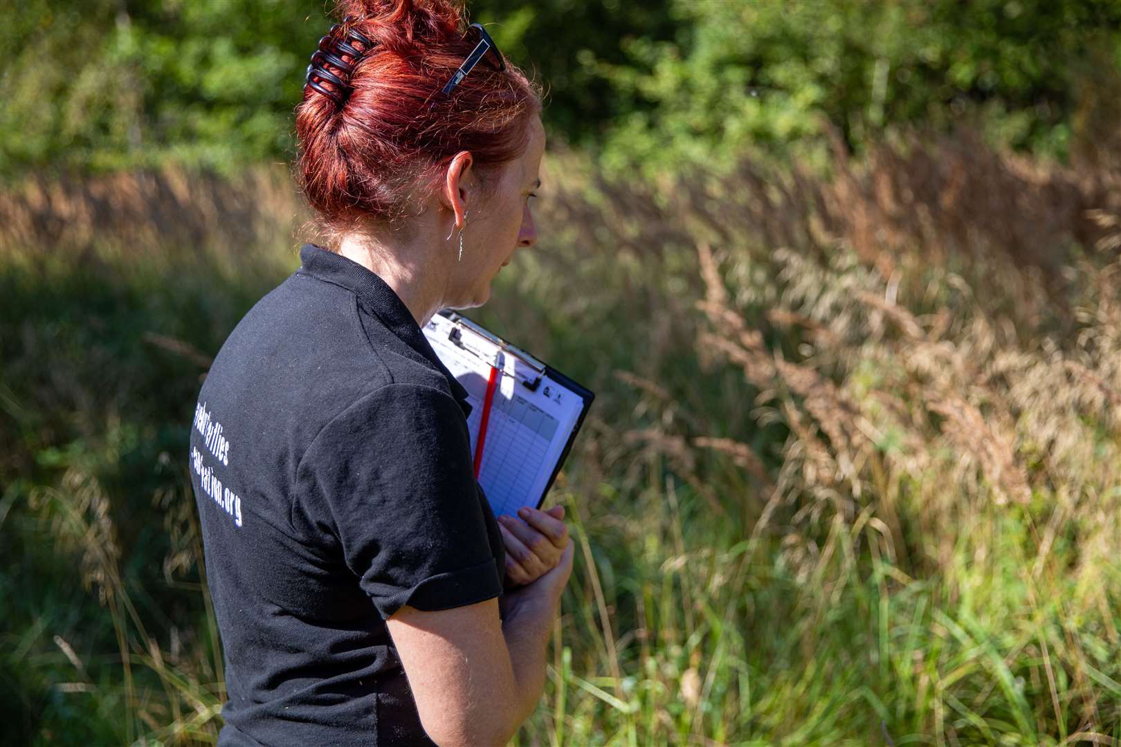 It is part of the conservation project Back from the Brink