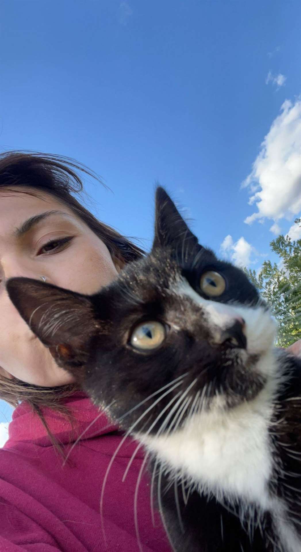 Hannah Clark with one of the newly rescued kittens.