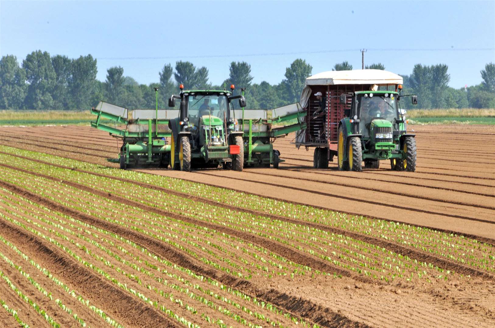 Up to 30% of UK's food is produced or passes through South Holland