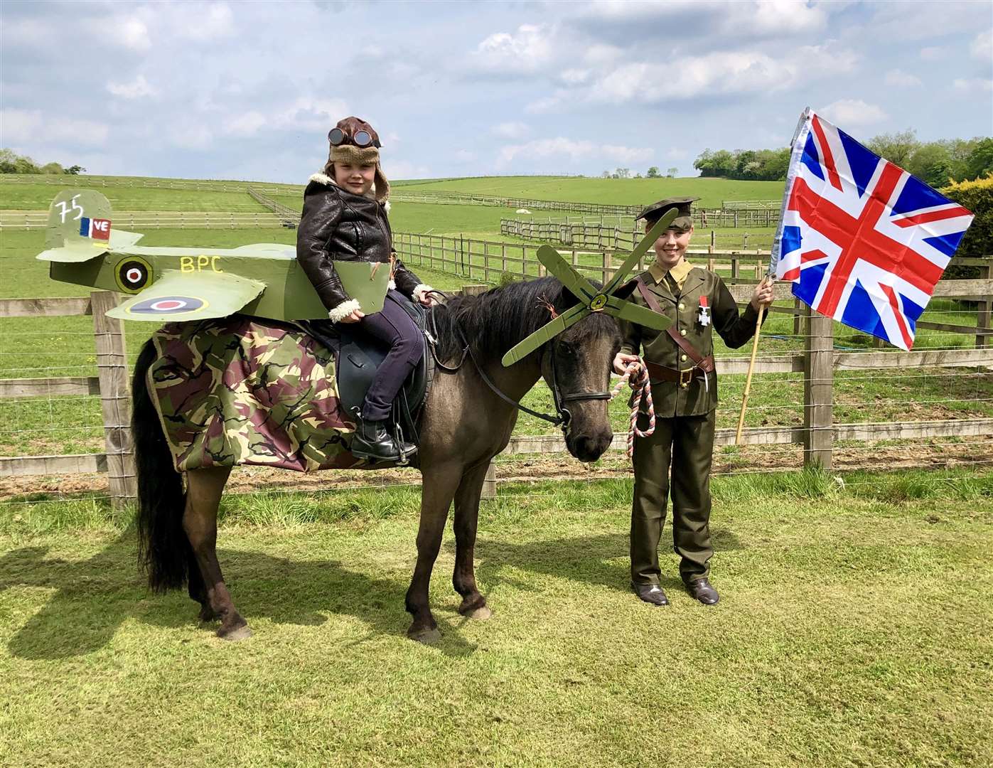 Elysia as a Spitfire (34628609)