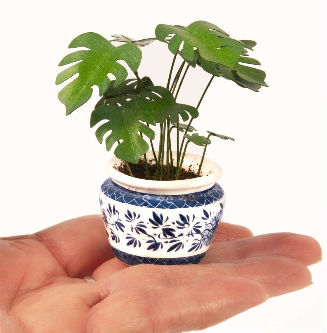Mini plant