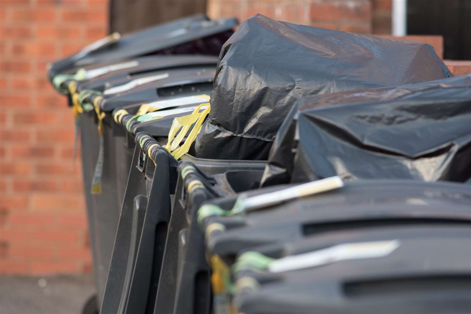 Black bins. Stock image