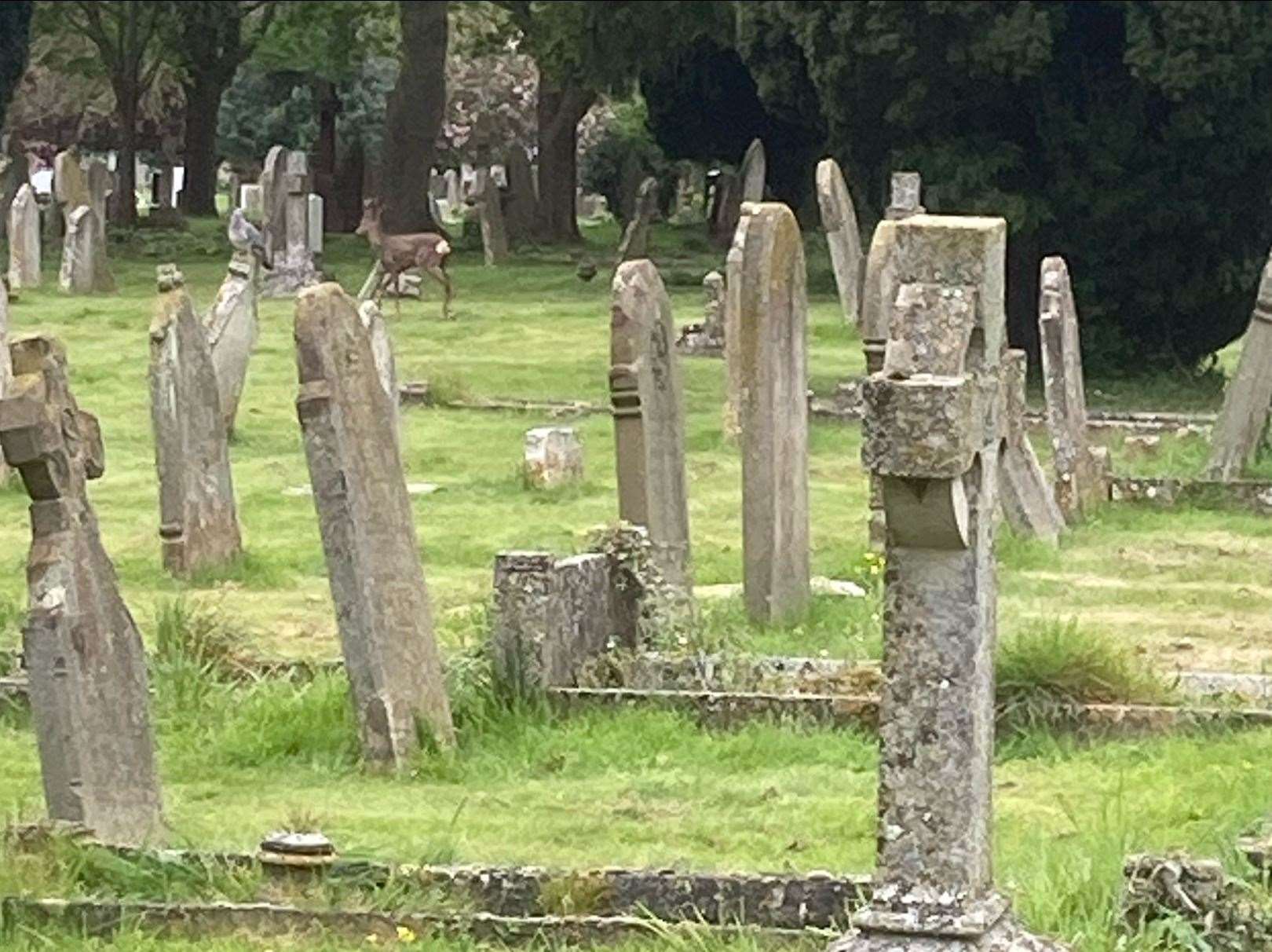 Stamford Cemetery