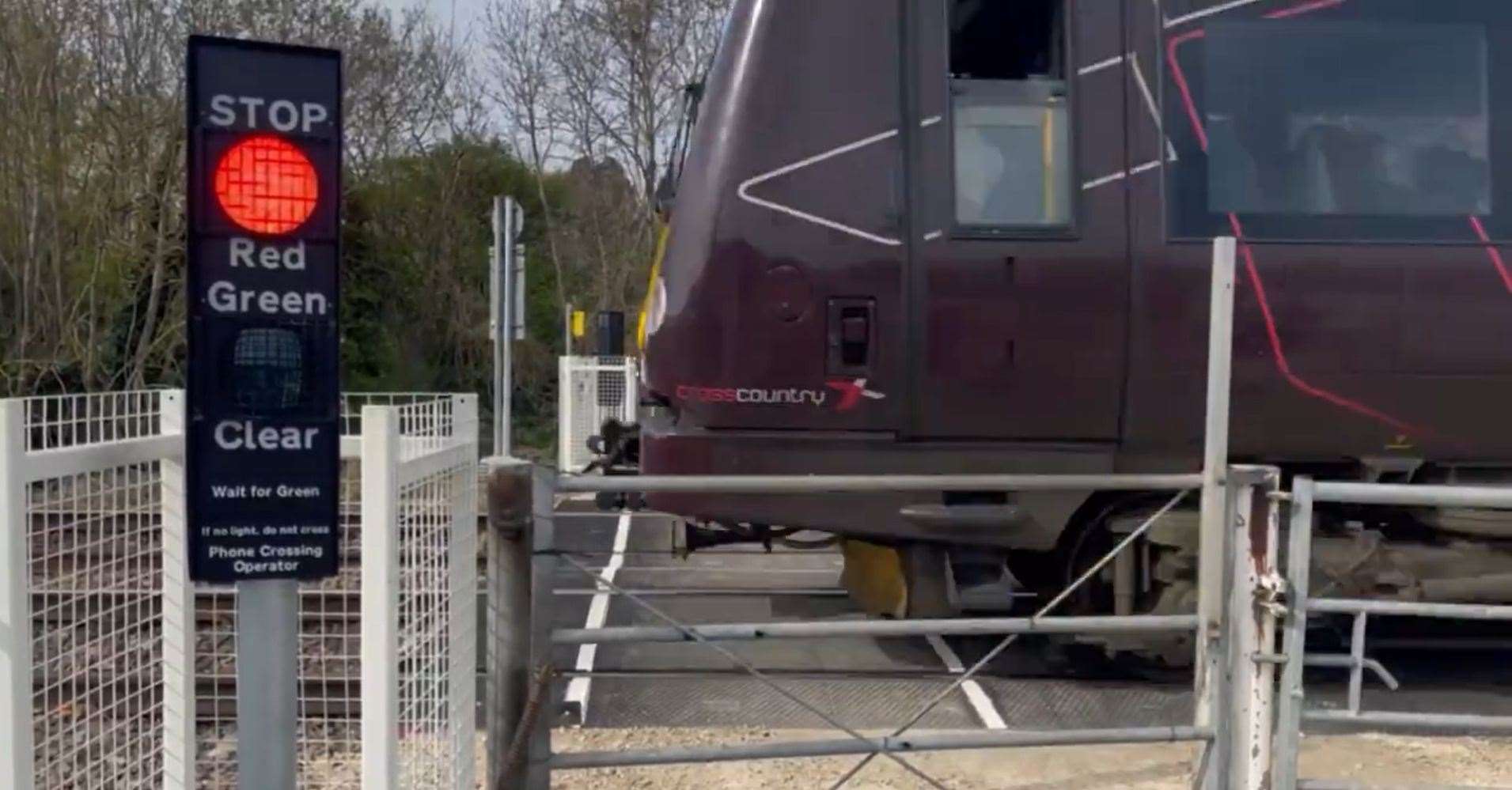 The lights on red as a train passes over Hudds Mill level crossing. Photo: Richard Cleaver
