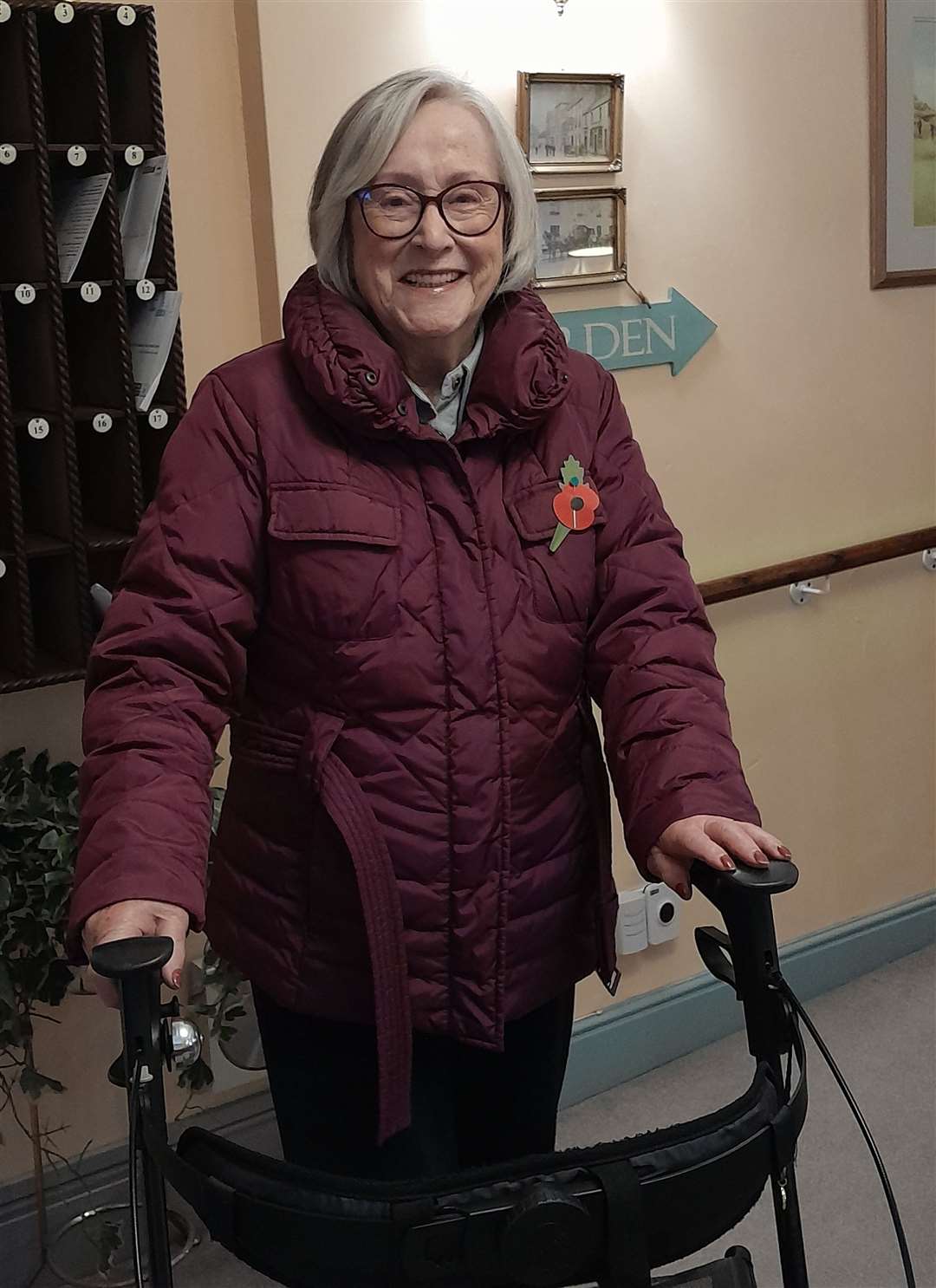 Marianne Haylett is walking a mile a day for charity.