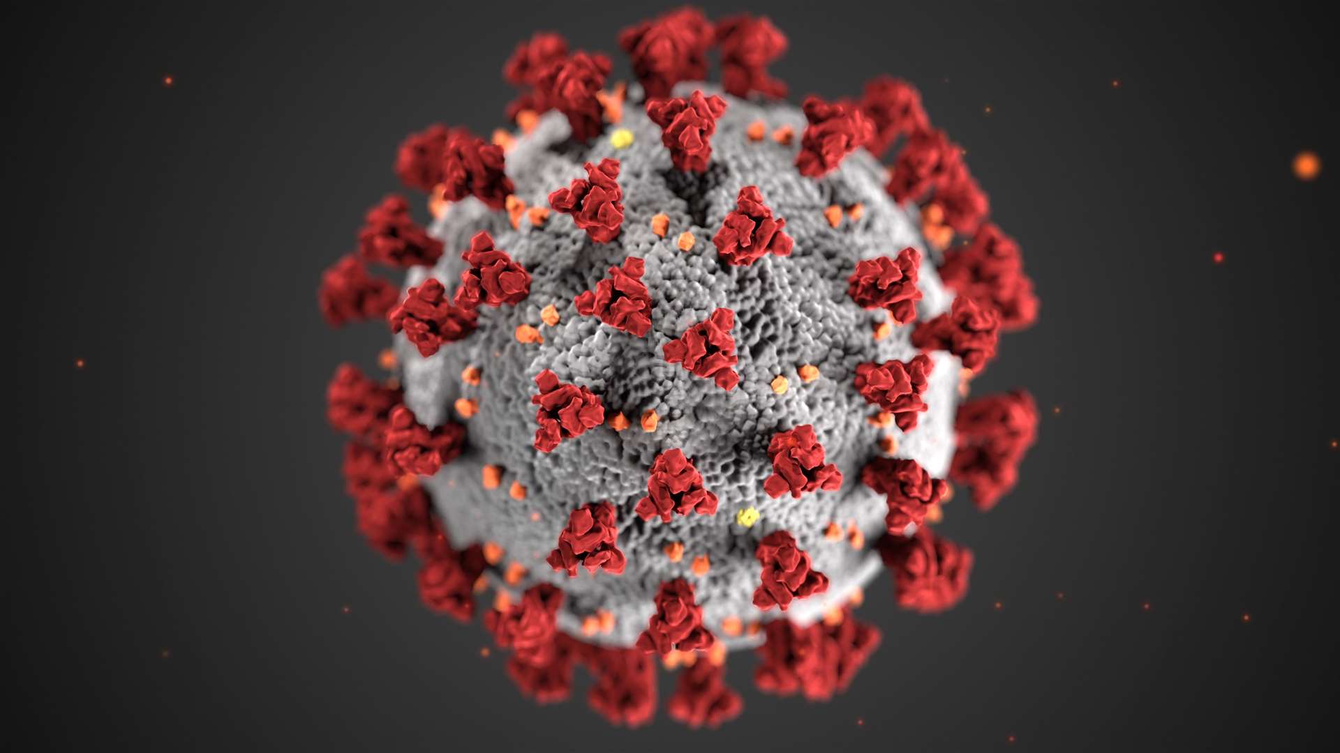 Covid-19 virus (37679120)