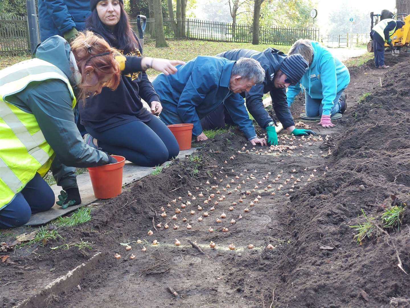Grantham Sunrise Rotary Club helpers and members planting crocus corms.