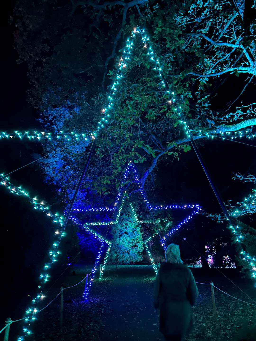Star arches