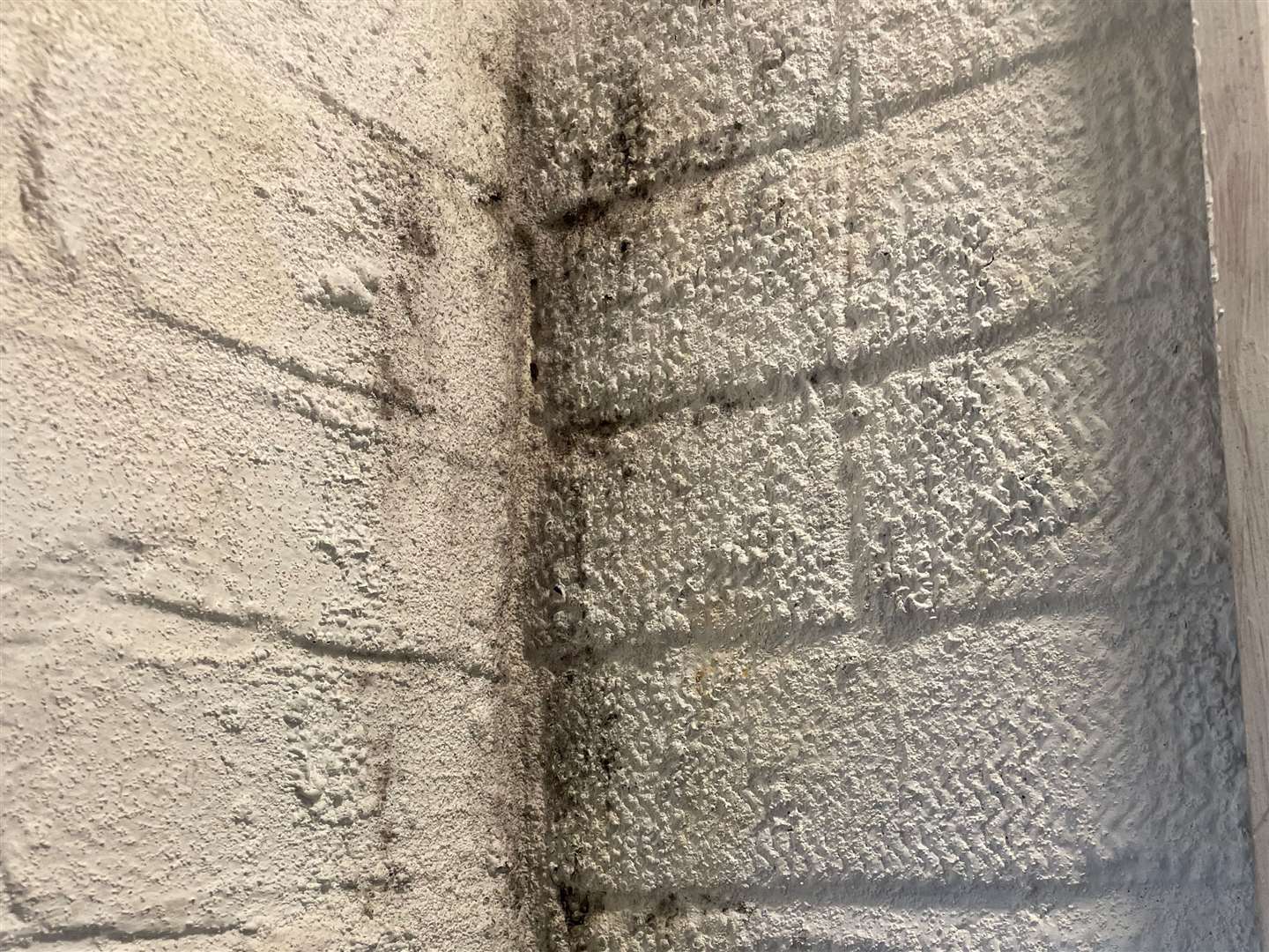Some of the mould