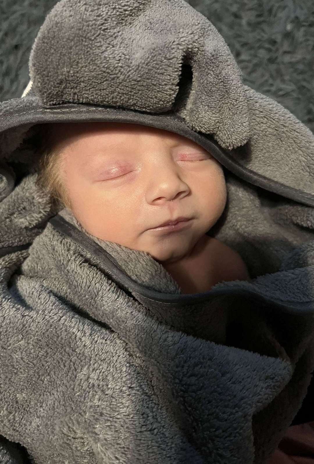 Carmy Alexander Daniel Mason
