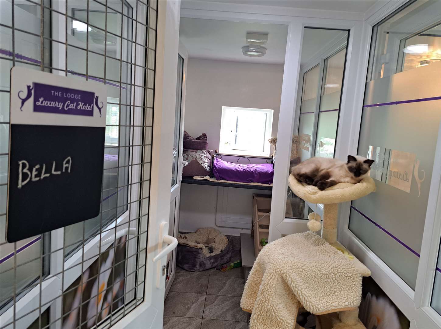 Bella in her humble abode