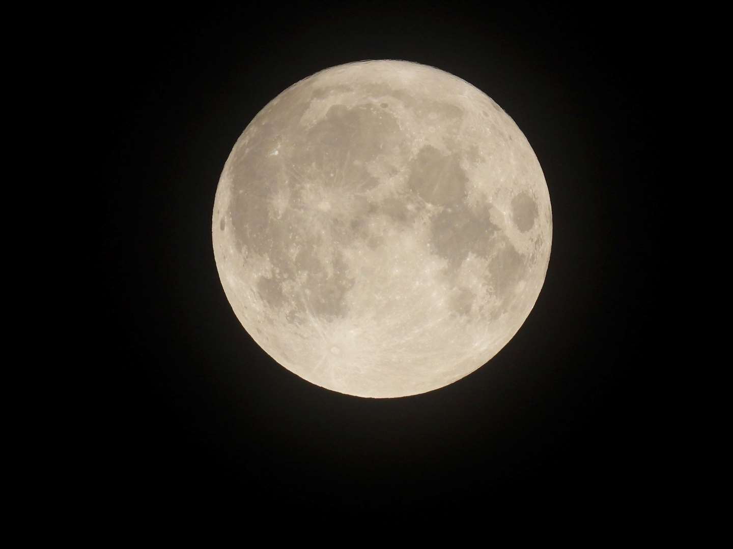 The rare blue supermoon captured on a Nikon p1000, using 3,000 times zoom. Photo: Tim Harrison