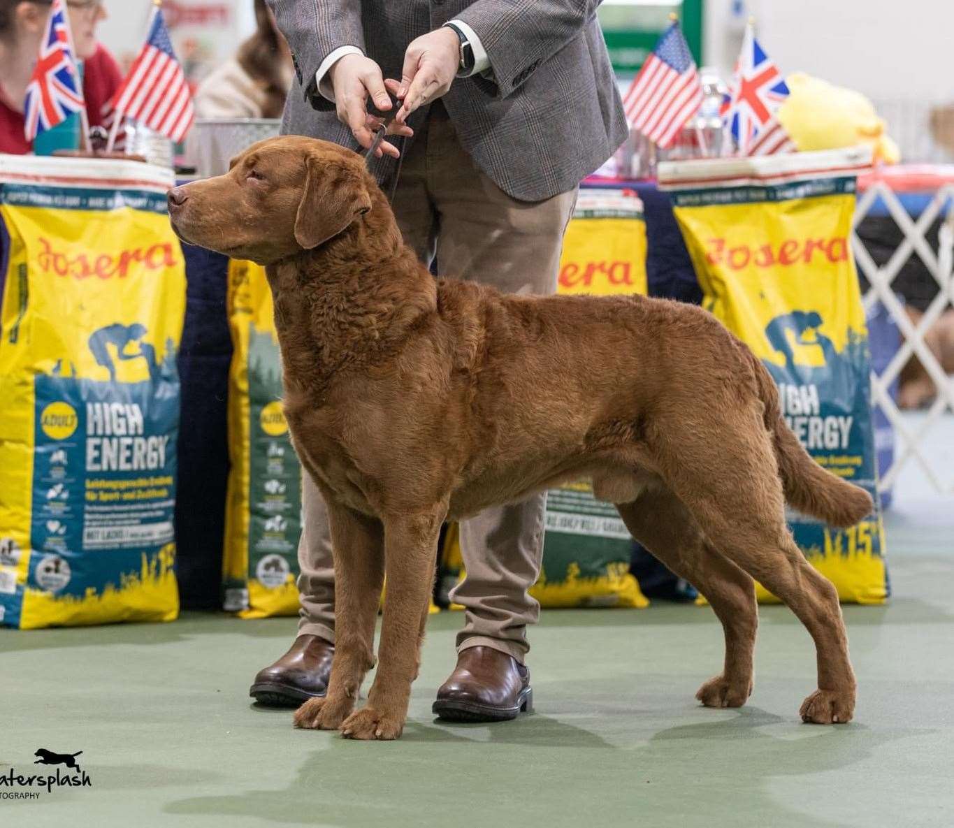 Gus on show