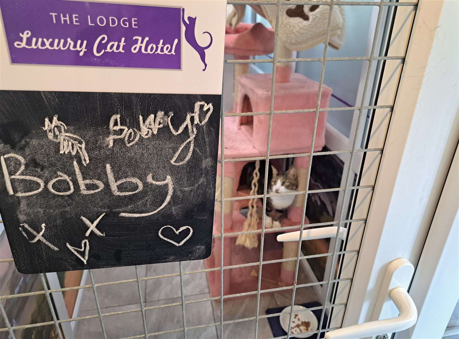 Bobby's owners left him some cute drawings on the name sign