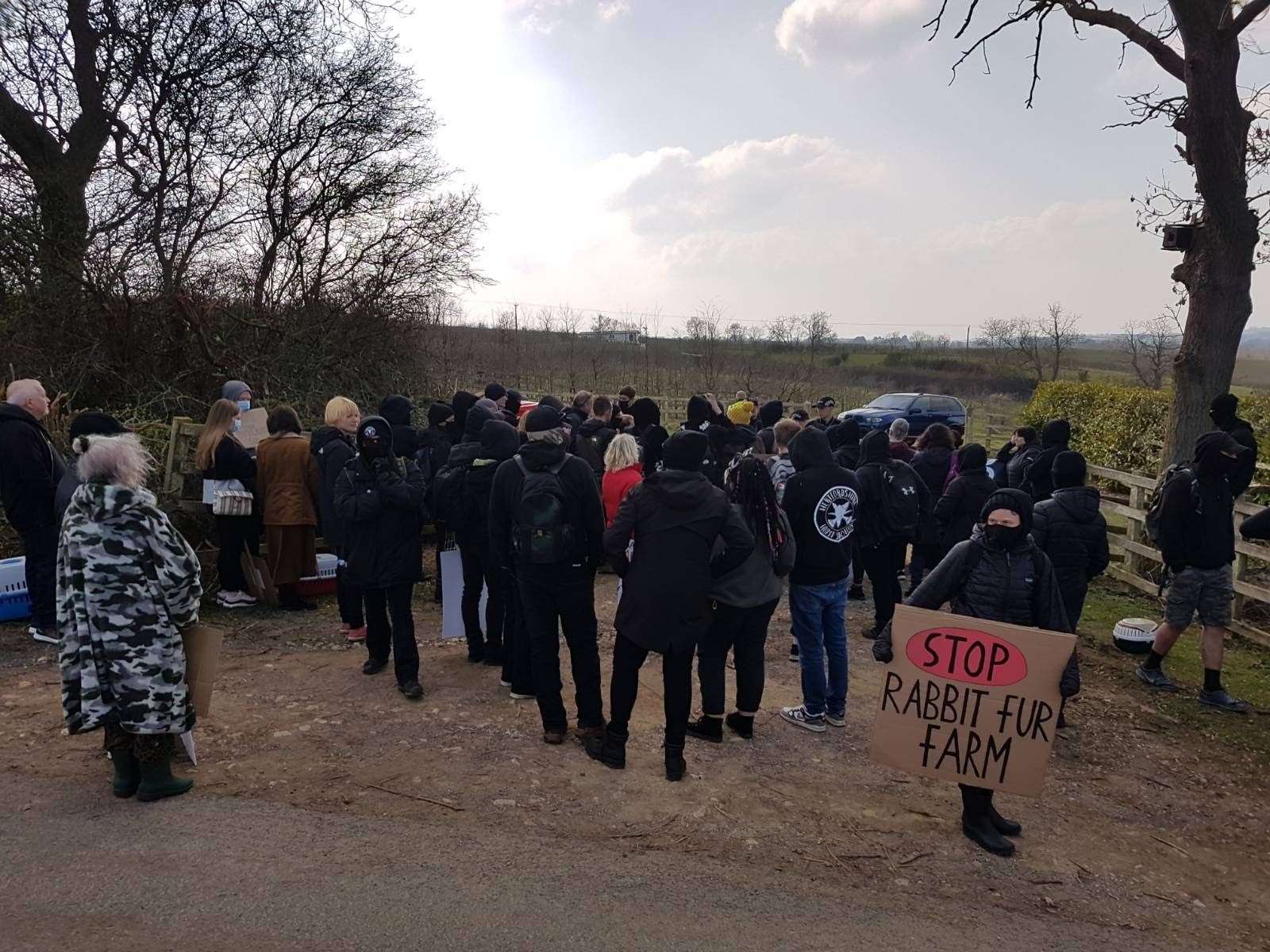 All but one of the animals had been removed from the farm according to one of the protesters