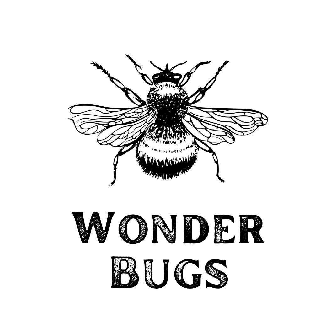Wonder Bugs will launch in May.