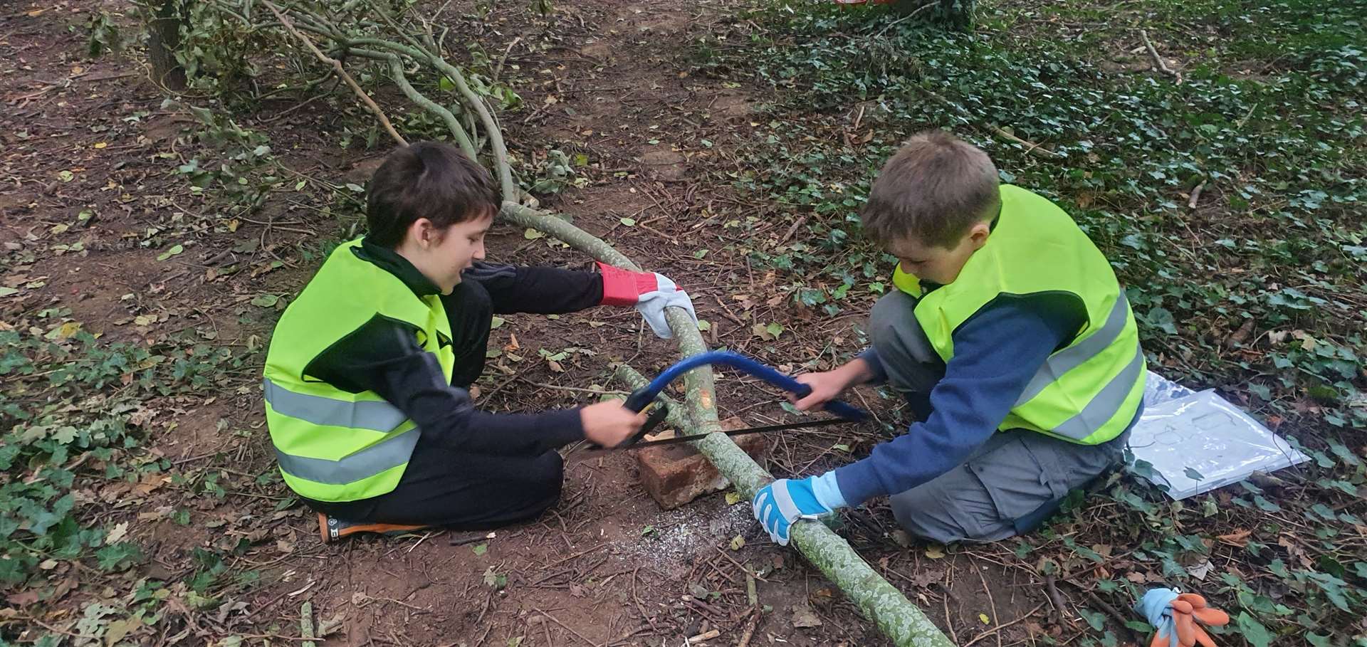 Children enjoy activities at Mater Natura Forest School (42296085)