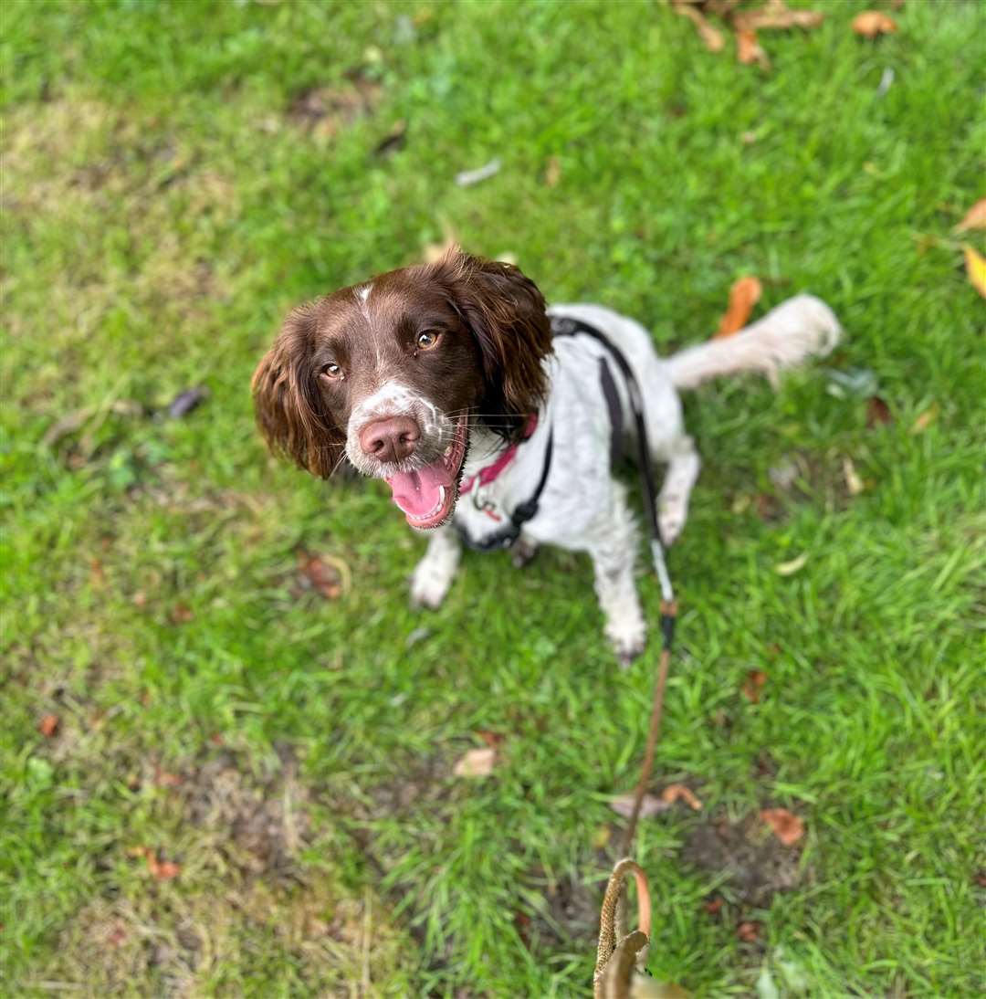 Bella