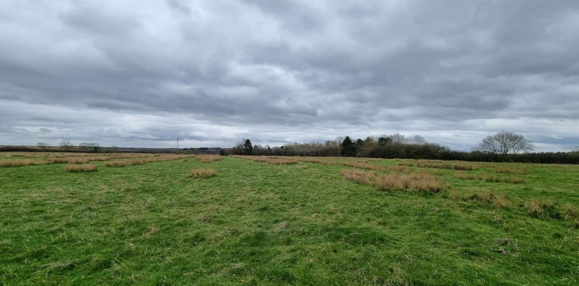 A new coronation woodland will be planted at Clipsham