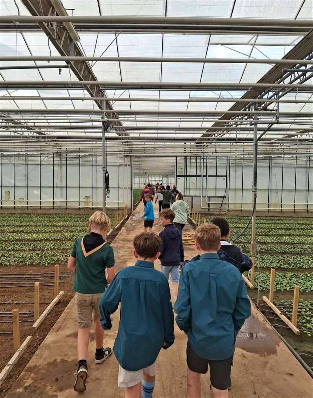 2nd Pinchbeck Scout Group enjoy a tour of the glasshouses at Lambs Flowers