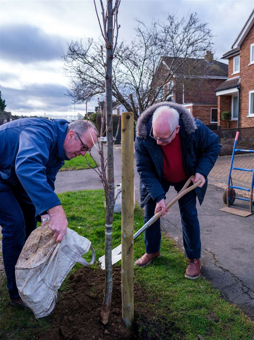 Richard Littlewood and Coun Richard Cleaver planting the trees earlier this year